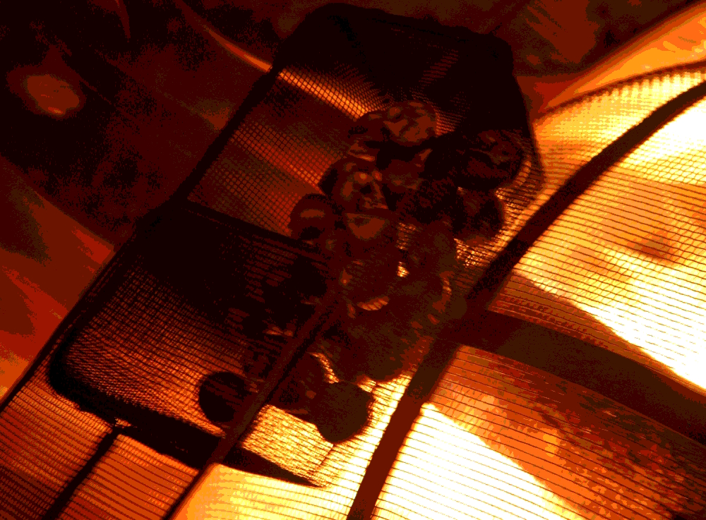 chestnuts chestnuts