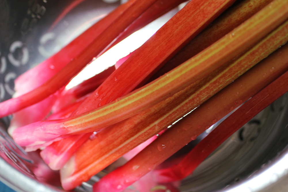 rhubarbstalks